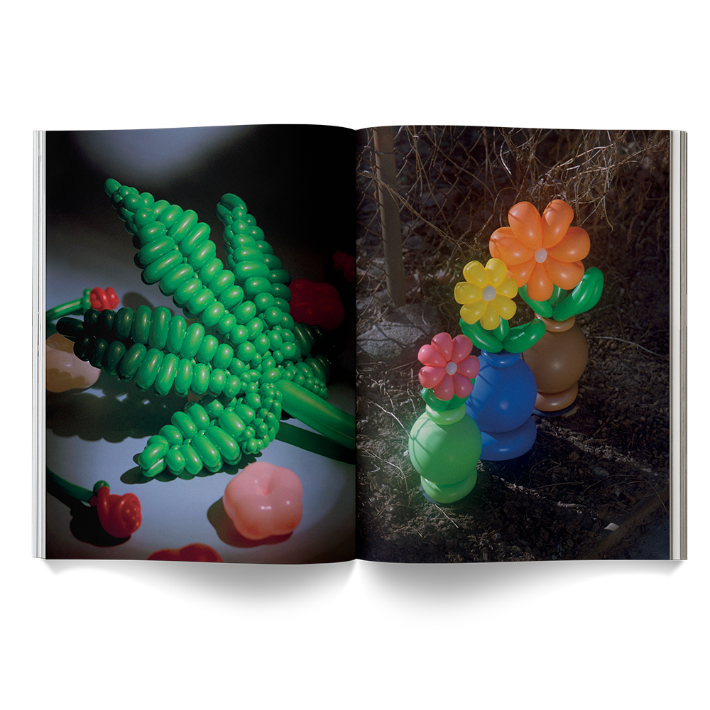 A Weed is a Flower Book