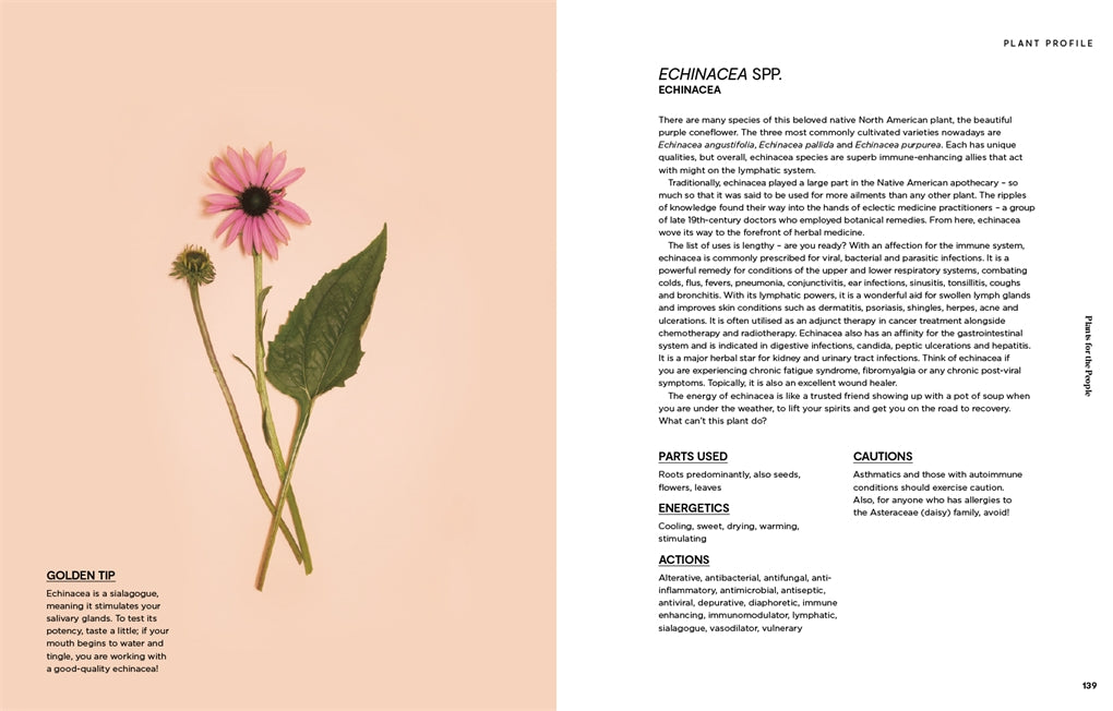 Plants for the People - A Guide to Plant Medicine