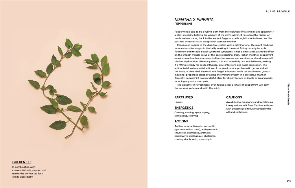 Plants for the People - A Guide to Plant Medicine
