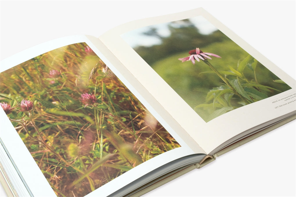 Plants for the People - A Guide to Plant Medicine