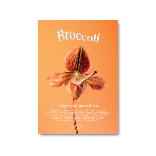Broccoli Mag - Issue 08